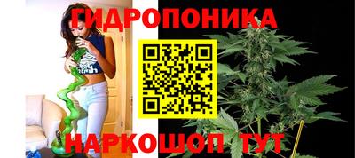 шишки Нягань