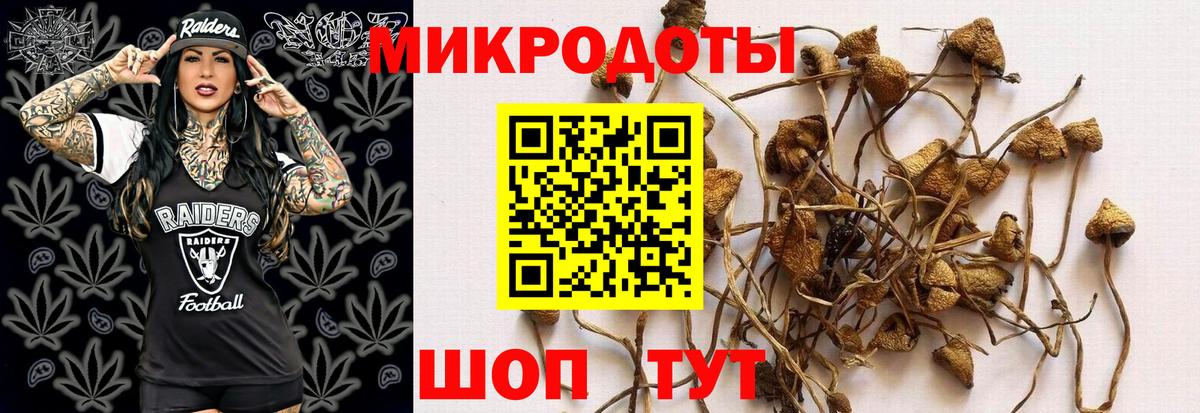 купить наркоту  Галлюциногенные грибы GOLDEN TEACHER  Вход с VPN  Ступино 